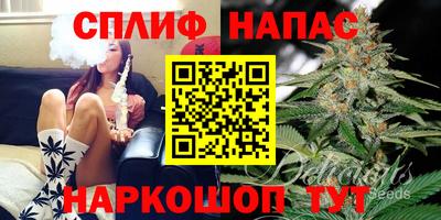 эйфоретик Аргун