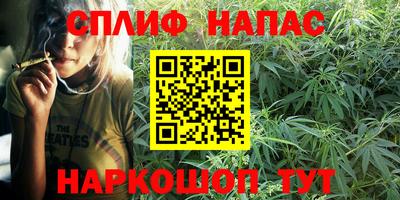 индика Апшеронск